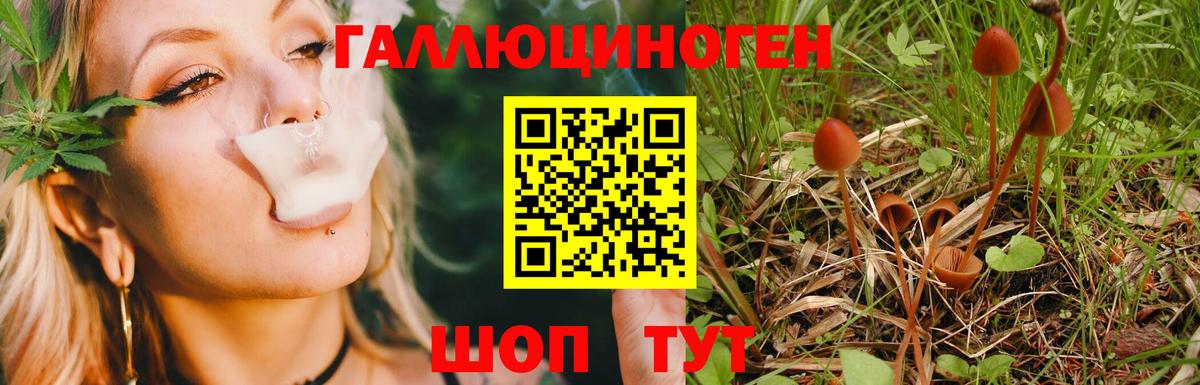 Семёнов  Псилоцибиновые грибы Psilocybine cubensis  Вход с VPN 